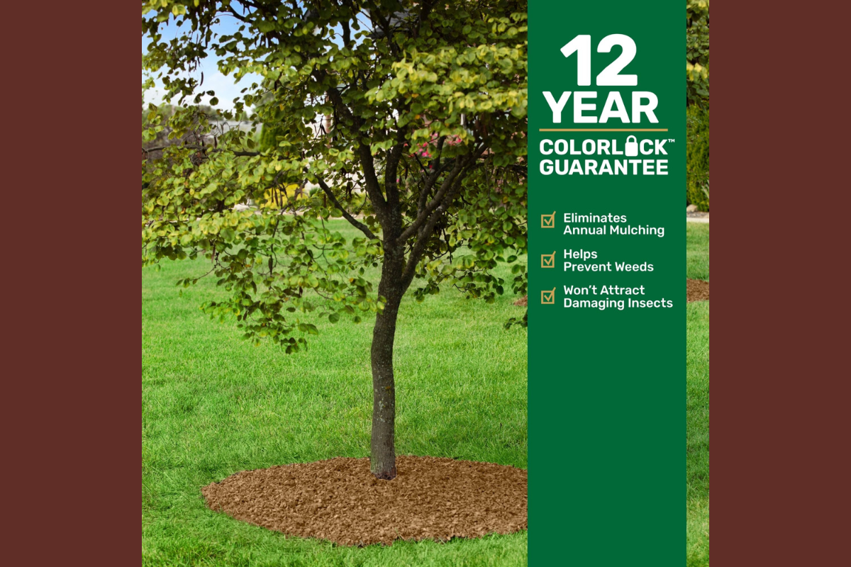 Cypress Rubber Playground Mulch